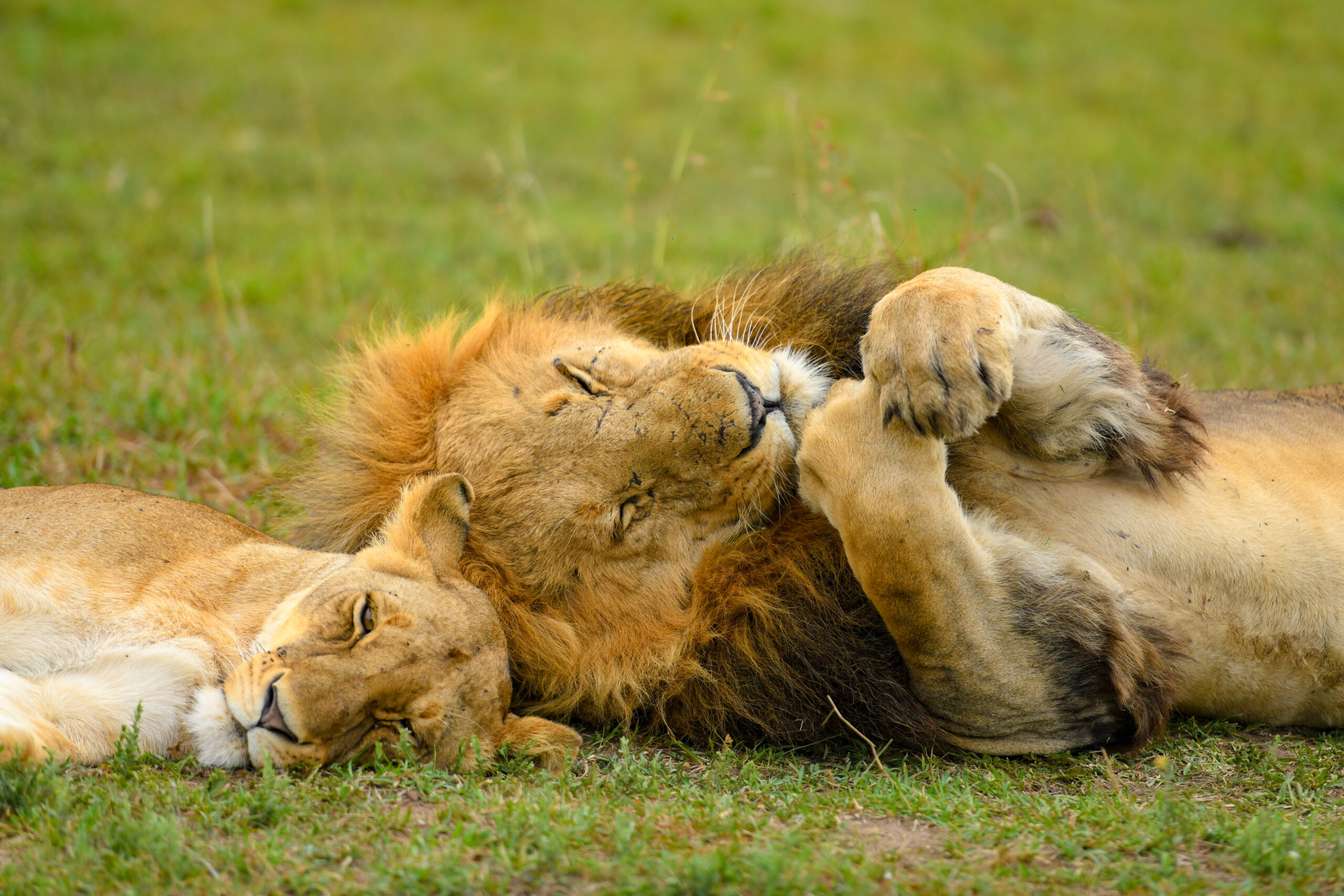 DayTour<br>&nbsp;&nbsp;&nbsp;Top Deals