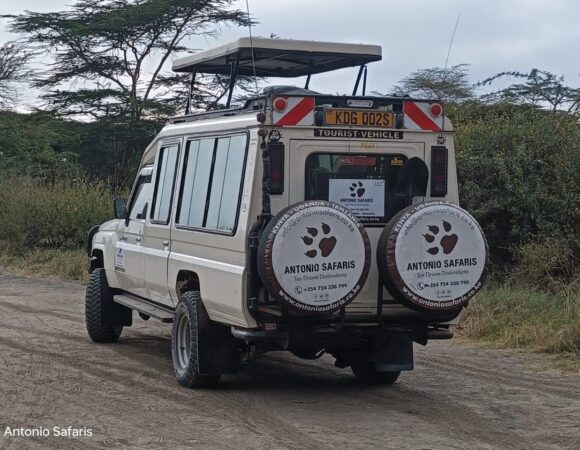 LandCruiser