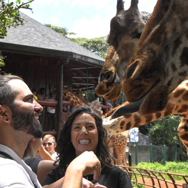 Giraffe Center, Karen Blixen & Bomas Of Kenya