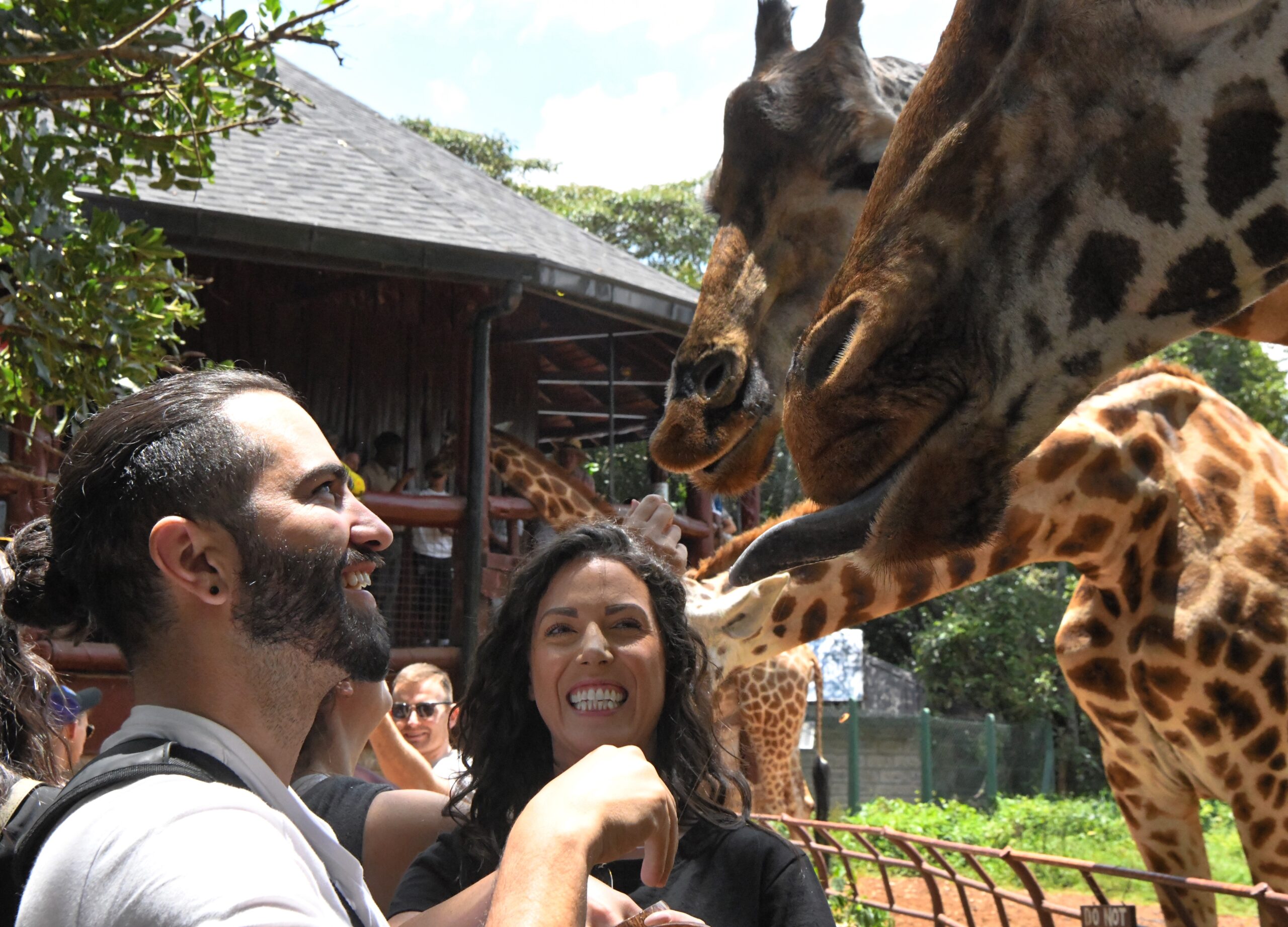 Giraffe Center, Karen Blixen & Bomas Of Kenya
